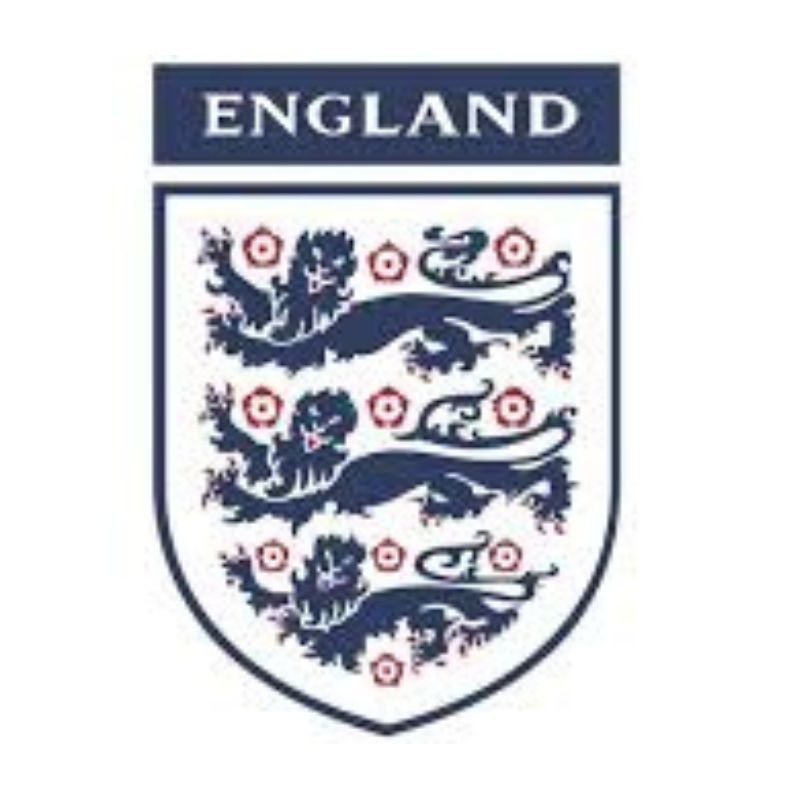Hand Painted England Team with 3 Lions Crests