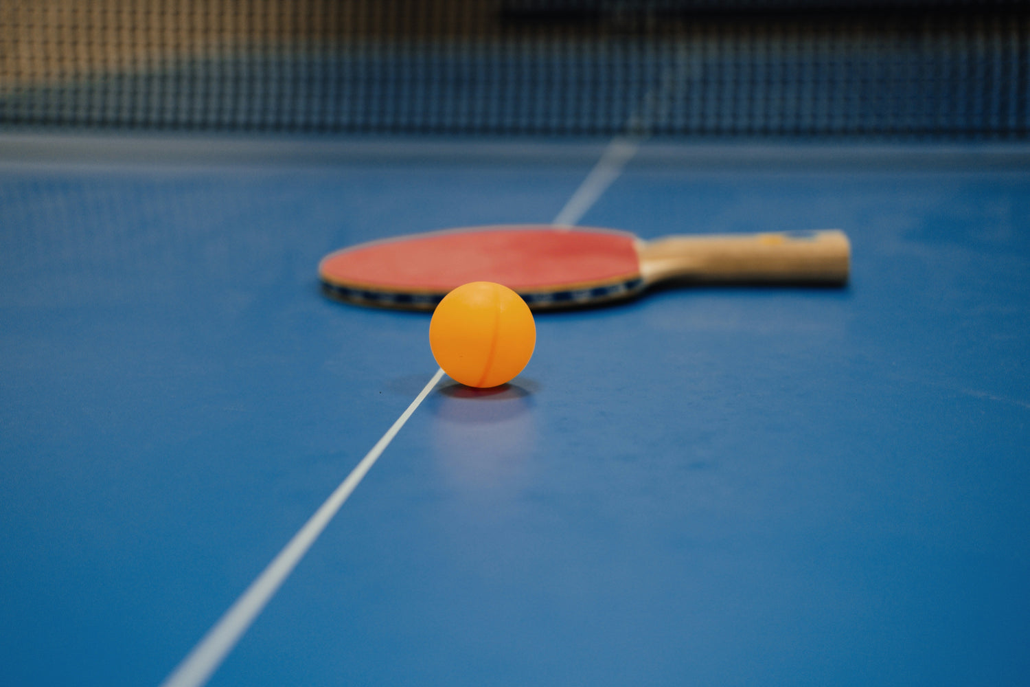 Table Tennis Tables