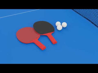 Butterfly Easifold 12 Outdoor Table Tennis Table